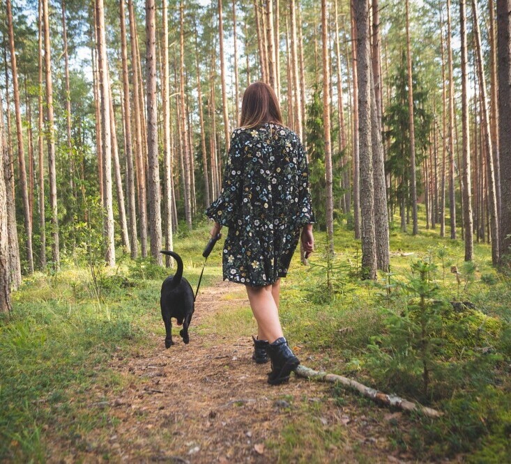 Dog walking