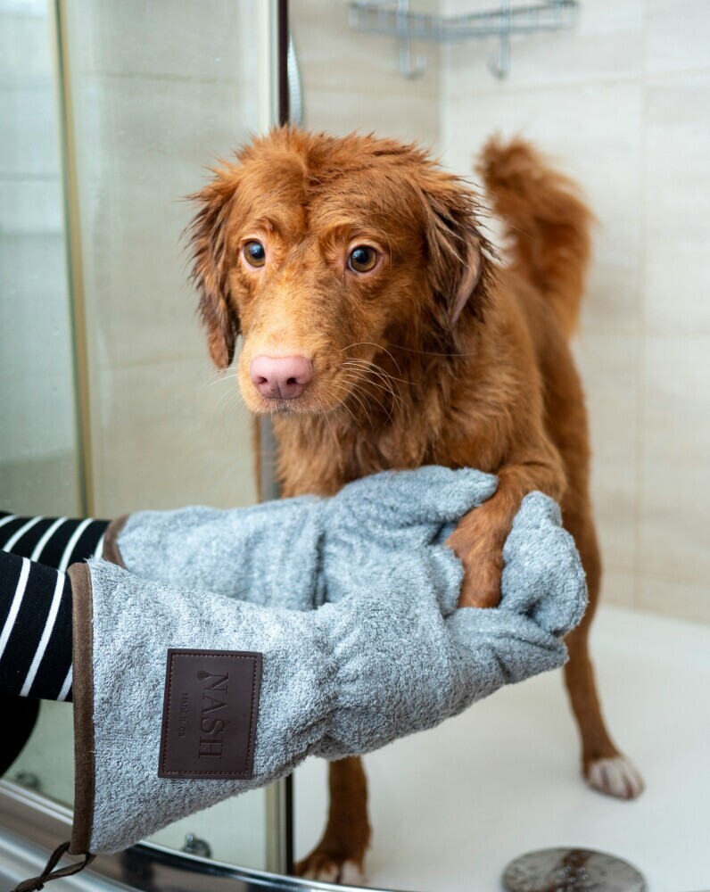 Dog bath