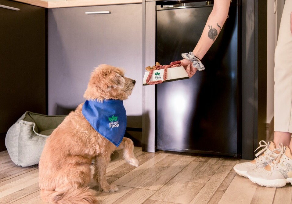 Dog food