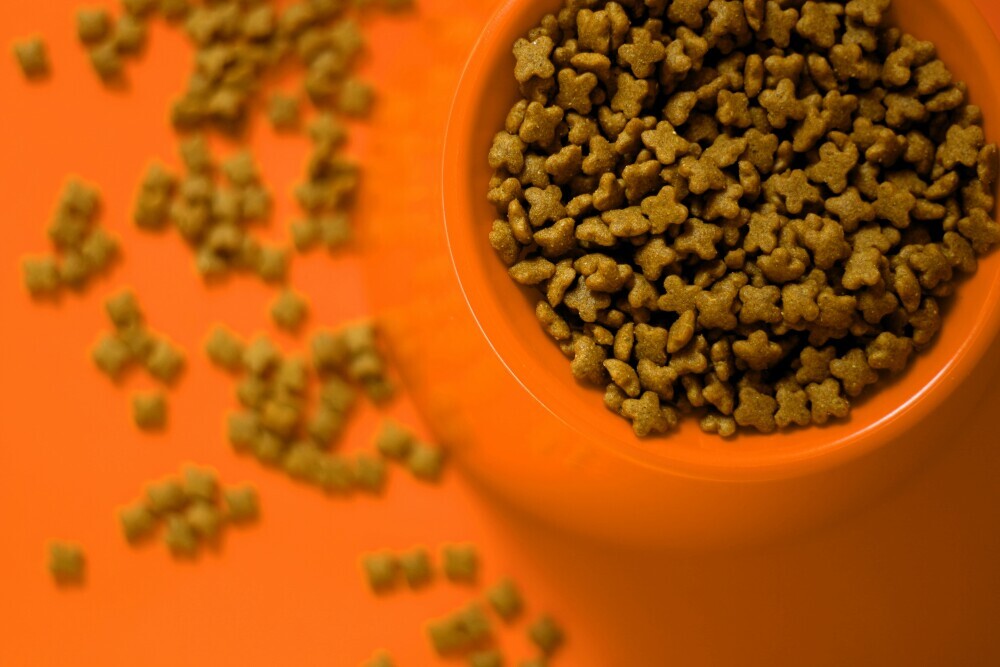 Dog food