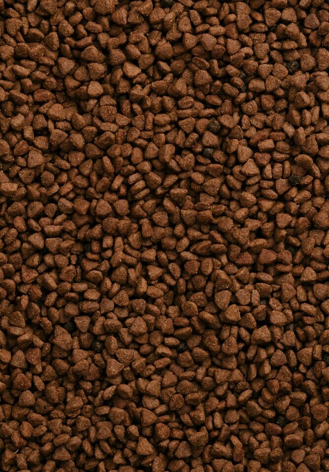 Dog food