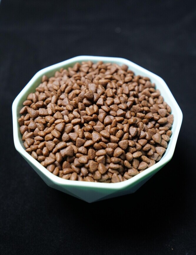 Dog food