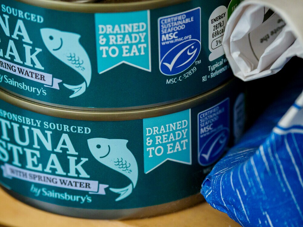 Dog food