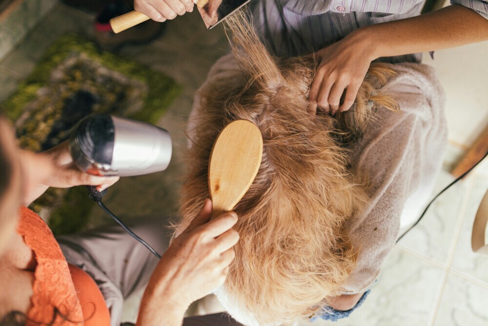Dog grooming 