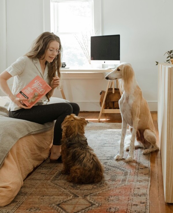 Dog training