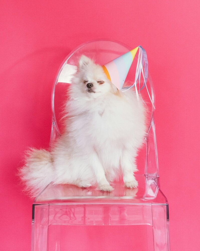 Party hat
