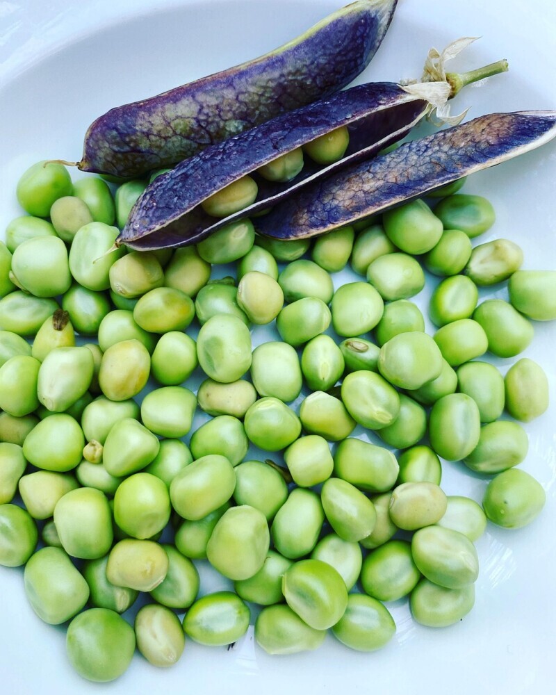 Peas 