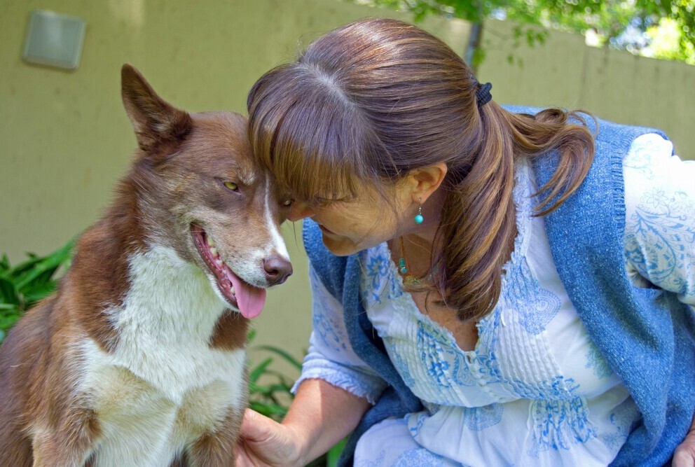 Veterinarian 