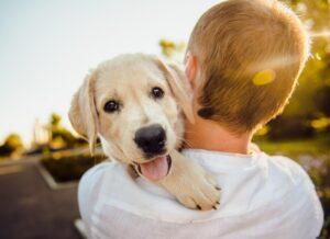 The Complete Dog Health & Wellness Guide